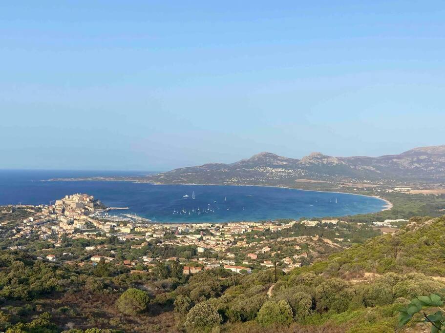 Exceptionnelle Vue Mer Calvi - Piscine - T2 Exterior photo
