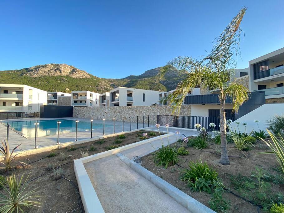 Exceptionnelle Vue Mer Calvi - Piscine - T2 Exterior photo